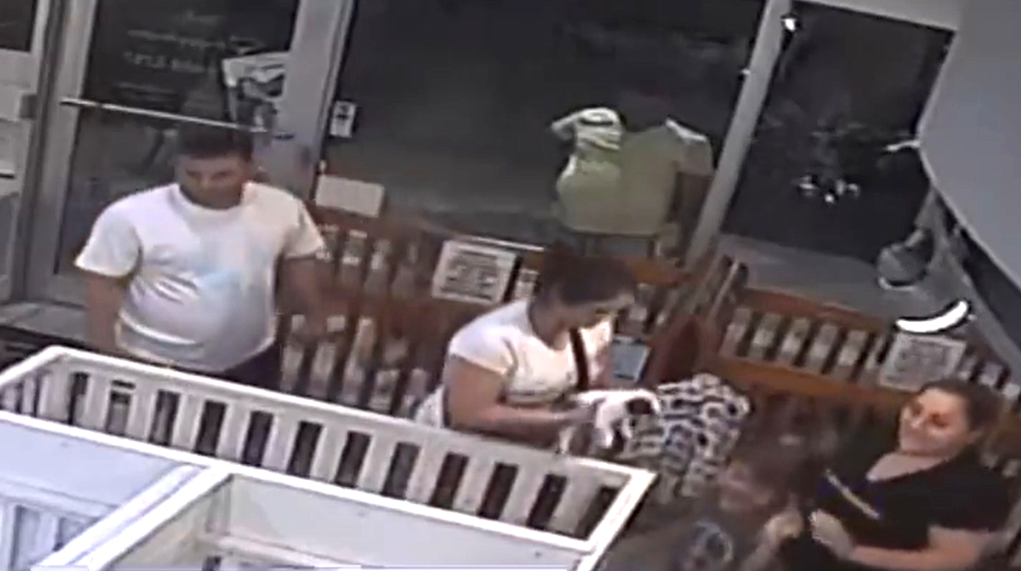 A family of four entered Puppy Buddy Pet Store in Boca Raton, Florida, on Oct. 30 and created a distraction while a woman reached into a puppy pen and snatched a chihuahua puppy, police said. The woman then concealed the puppy in her purse before walking out of the store.(Palm Beach County Sheriff/Zenger)