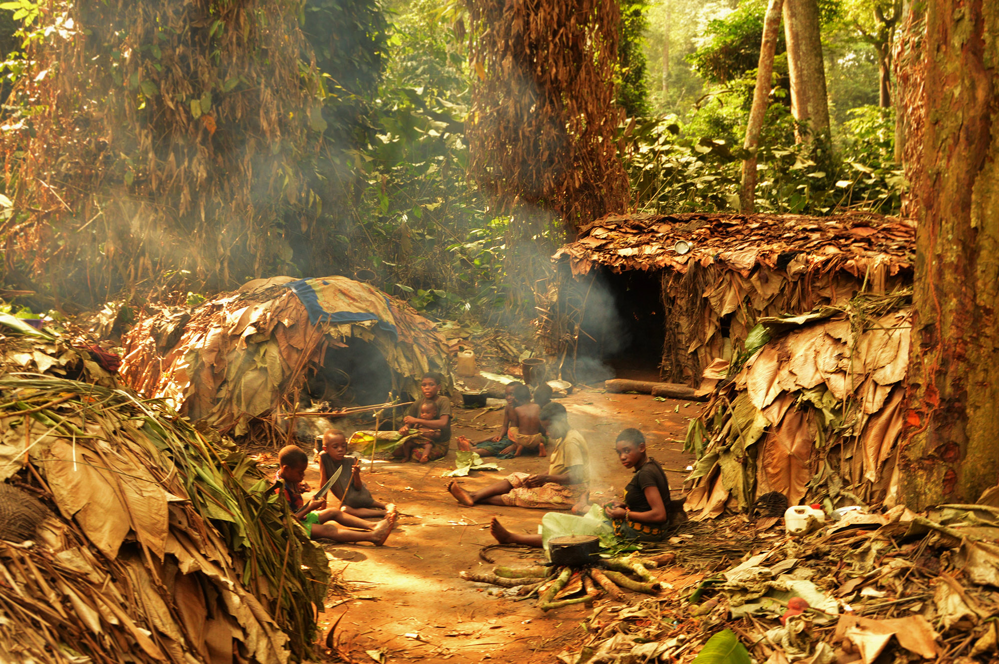 The traditional lifestyle and health of the Mbendjele BaYaka, an indigenous Congolese hunter-gatherer population living in the rainforests of Central Africa, are under threat from loggers and conservation groups, research shows. (N. Chaudhary/Zenger)