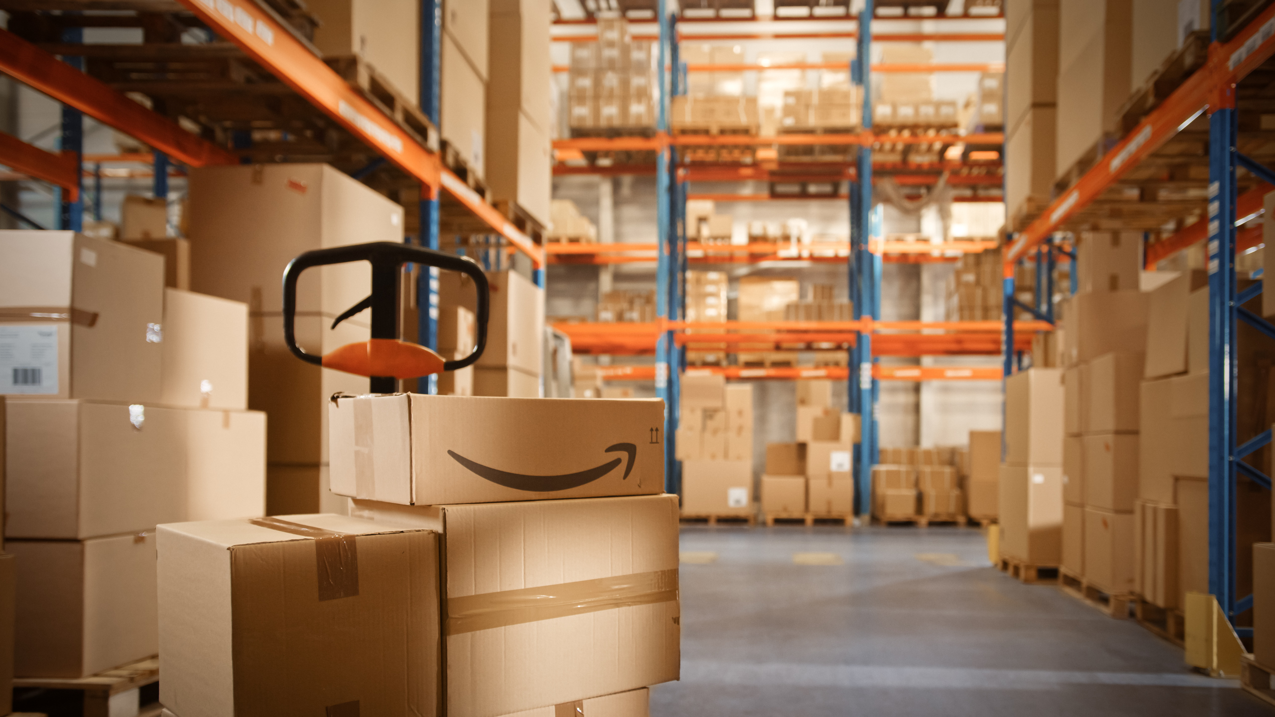 Amazon warehouse (Photo by: Gorodenkoff | Adobe Stock)