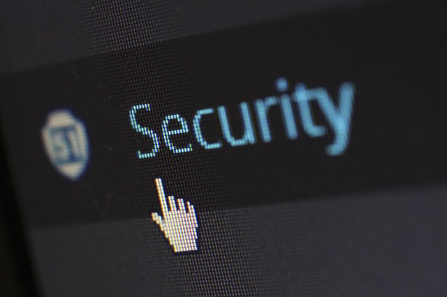 Cursor hovering over security option in a plugin.