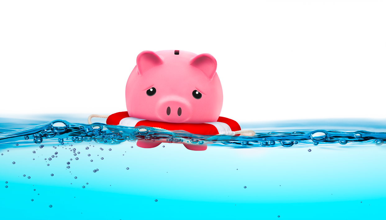 Photo by: Philip Steury | iStock via Getty Images Plus