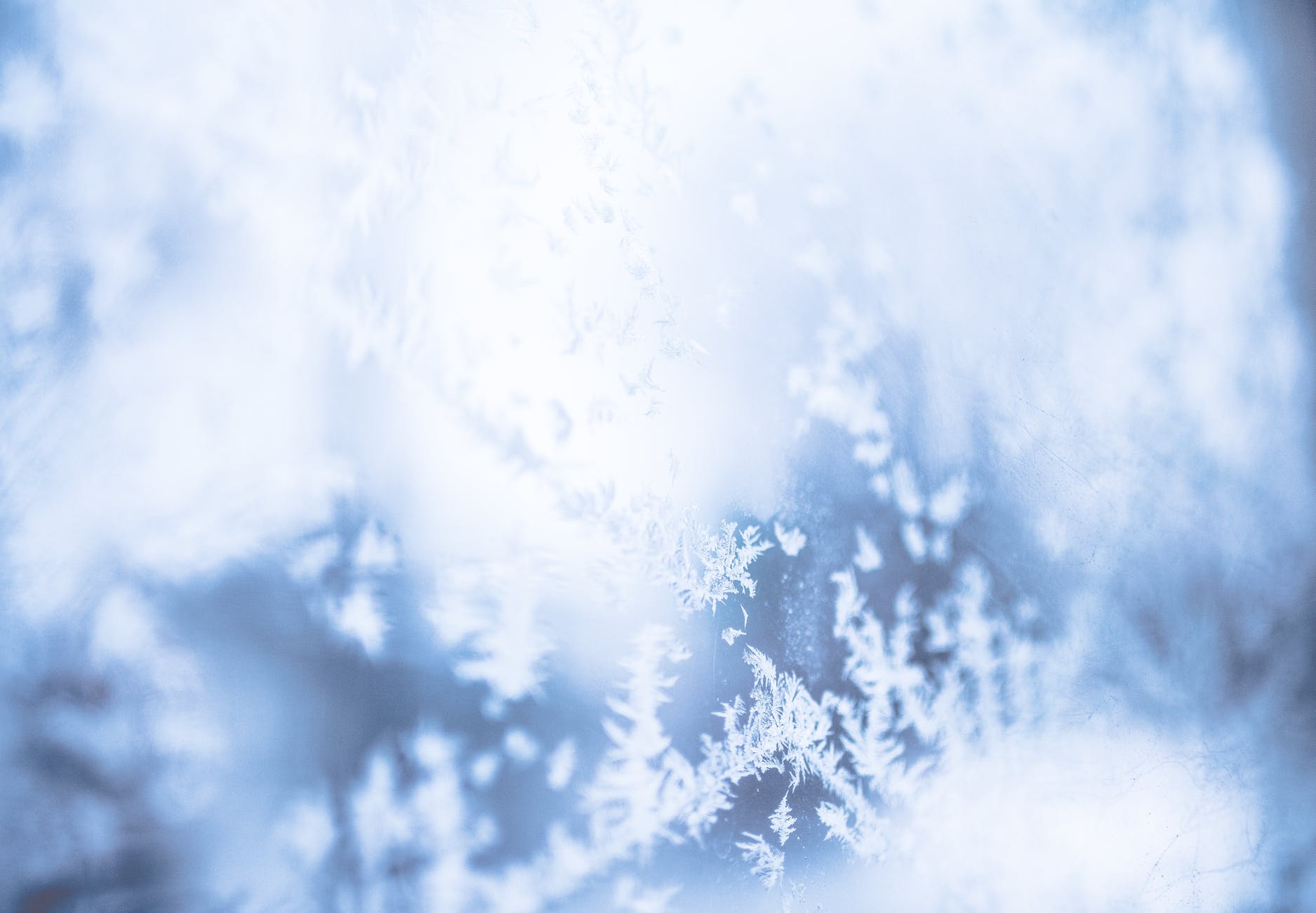 Photo by: Meve R. | pexels.com
