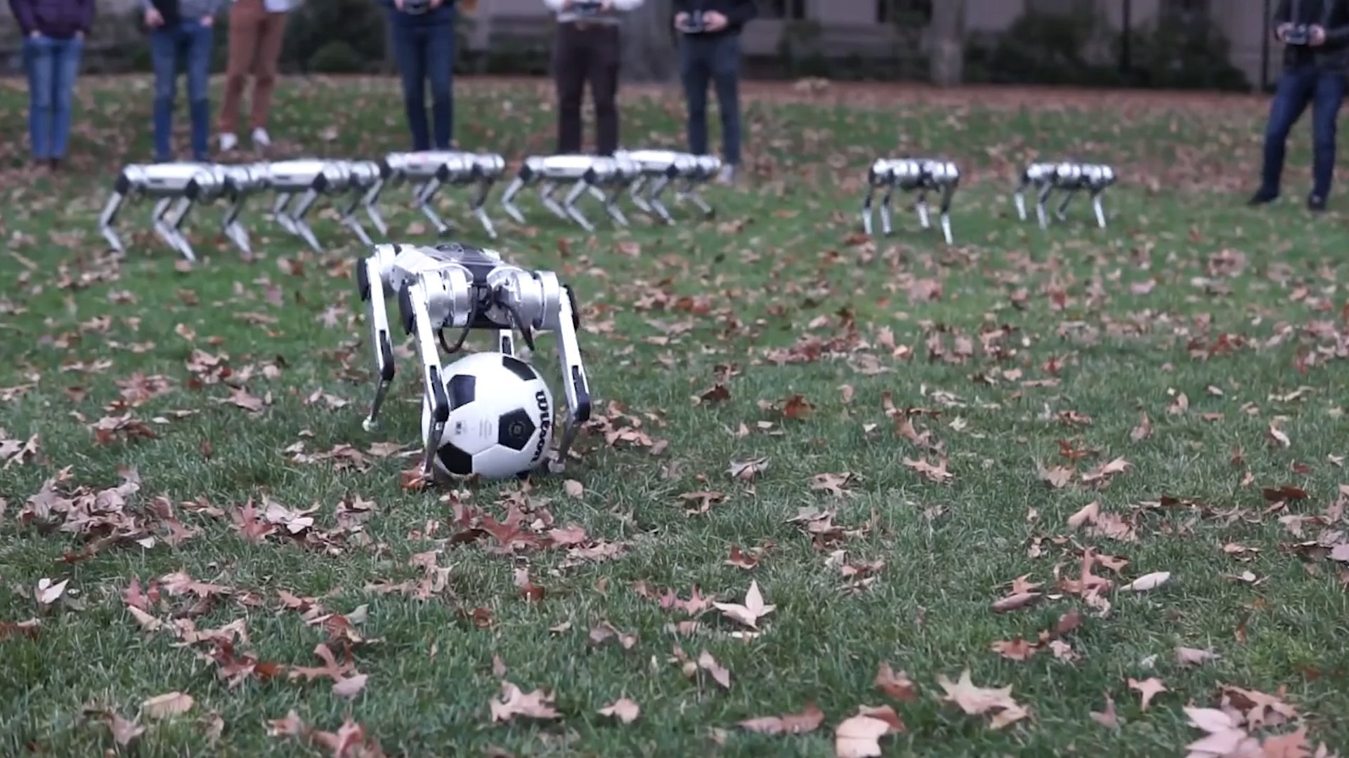 MIT's Biomimetic Robotics Labratory, which sits across the lawn from the school's iconic main building, created these so-called mini cheetahs, four-legged robots that are powered by 12 motors.