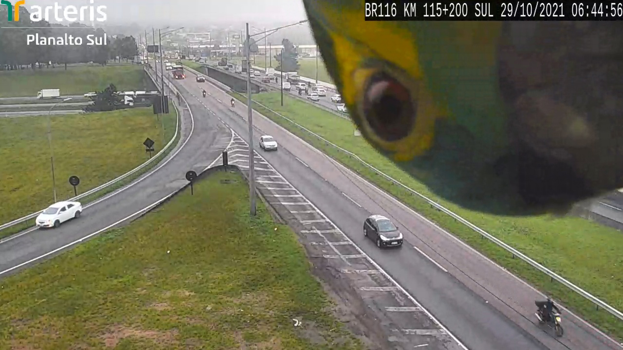 A bird identified as a Turquoise-fronted amazon was spotted on traffic cameras in Curitiba, Brazil on Oct. 29. (Arteris Planalto Sul/Zenger)