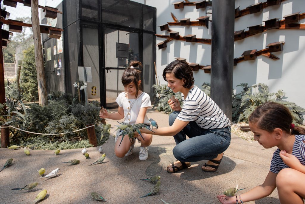 Mother and her daughters feeding the birds in the zoo