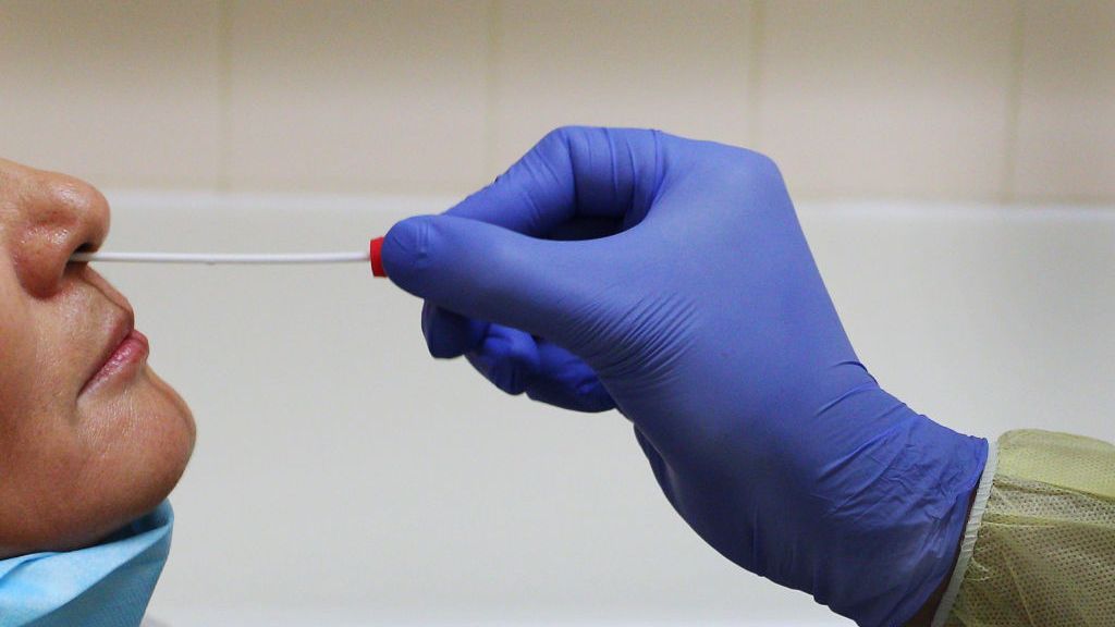 The World Health Network aims to eliminate COVID by using all of the tools that we have learned from in many parts of the world to achieve it,” says pandemic expert Yaneer Bar-Yam. (Lisa Maree Williams/Getty Images)