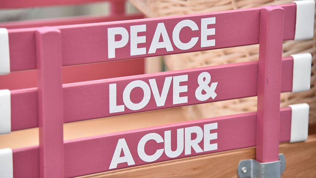 Researchers say a nanoparticle-based treatment may aid the fight against breast cancer. Image is from the Peace, Love & A Cure Triple Negative Breast Cancer Foundation Benefit on May 15, 2016, in Alpine, New Jersey. (Mike Coppola/Getty Images)