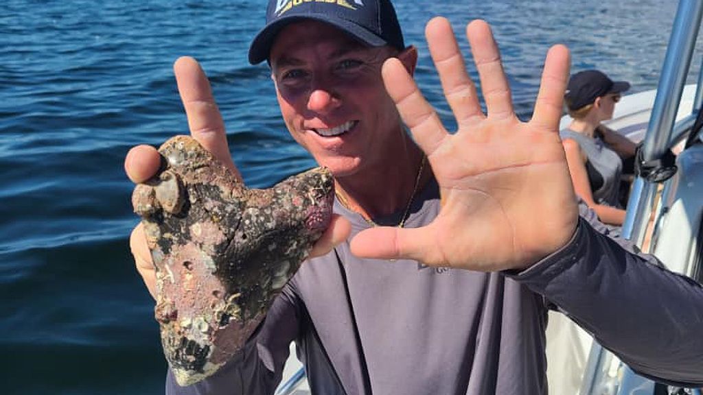 Michael Nastasio found the 6-1/16-inch megalodon tooth while diving off the Gulf Coast of Venice, Florida. (@michael.nastasio/Zenger)