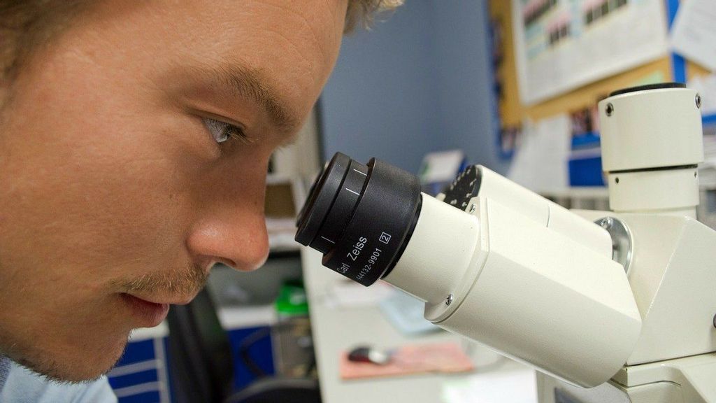 Researchers recently discovered that the cells in certain cancer patients can act as “double agents,” helping cancerous tumors grow rather than eradicate them. (Pixabay)