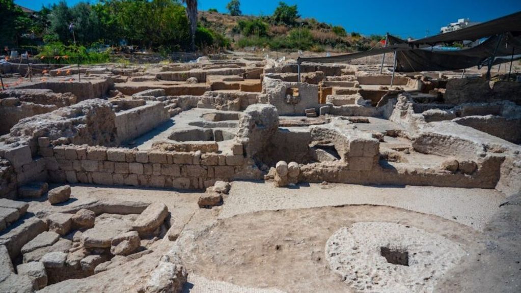 The winepresses at the Yavneh site produced some 2 million liters of wine annually. Drinking wine was common in the Byzantine period, both for adults and children. (Yaniv Berman/Israel Antiquities Authority)