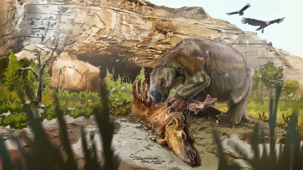 A reconstruction of the South American giant ground sloth Mylodon. (Jorge Blanco/Zenger News)