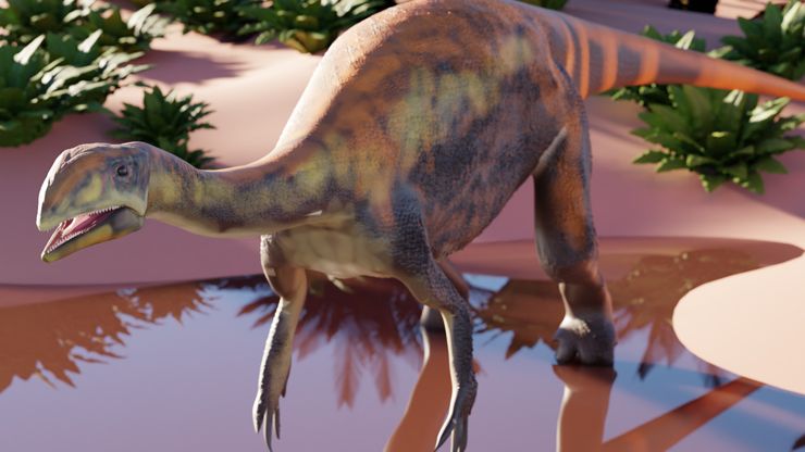 Issi saaneq was a plant-eating sauropod dinosaur that lived 214 million years ago in Greenland, which was warmer during the Triassic Period than today. It is a predecessor of some of the largest terrestrial animals ever to exist. (Victor Beccari)