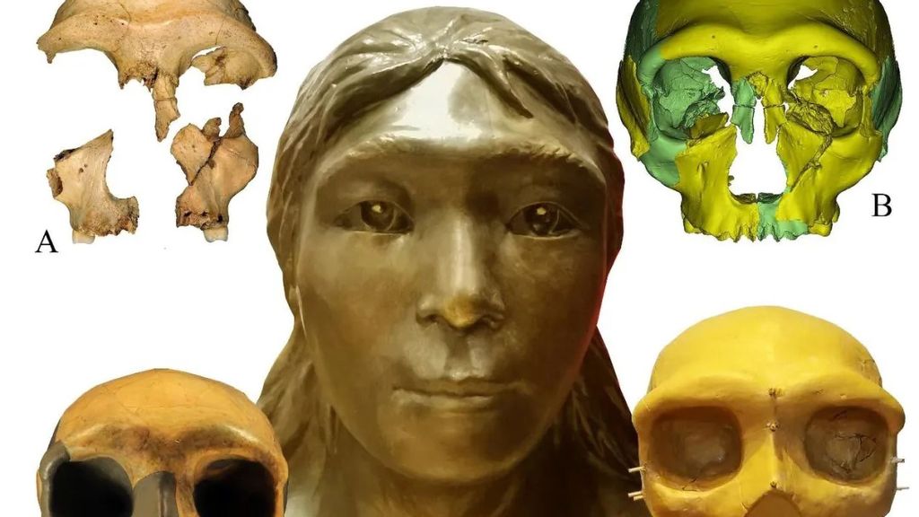 The face restoration of the skull of Hualong Cave No. 6. The Hualong Cave No. 6 fossil skull was virtually reconstructed skull then physically reconstructed and sculptured to create the reconstructed image. (Ancient Spine Institute, Chinese Academy Of Sciences/Zenger)