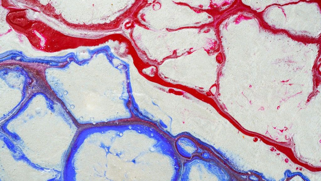 A scientist has developed a breakthrough 3D-printed system containing a functional combination of large and small blood vessels. (FLY:D/Unsplash)