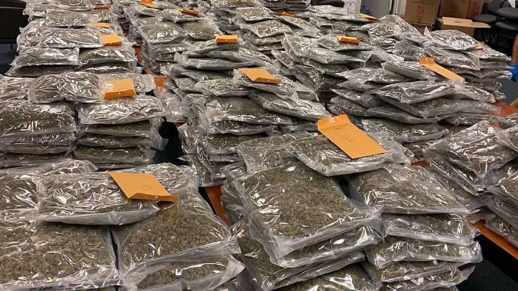 Deputies from the Brevard County Sheriff's Office found 770 pounds of marijuana, which they say has a street value of $2 million, in a community's mini-storage facility. (@BrevardCountySheriff/Zenger)