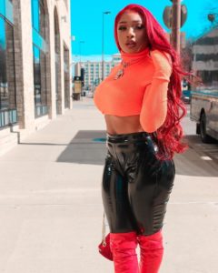 (Photo Courtesy Of Instagram: @theestallion)